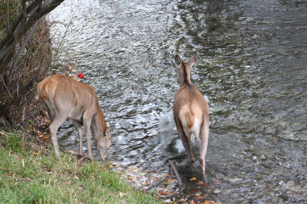 Il Rifugio Nel Parco * Villetta Barrea